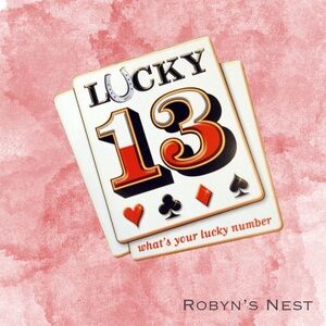 🍀 Lucky 13 mystery bag